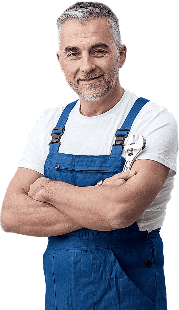 https://biberiyefidanin.info/wp-content/uploads/2018/09/background_transparent_02.png